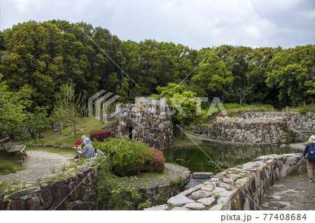 万博記念公園「春の泉」 77408684