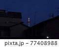 京都タワー（夜） 77408988
