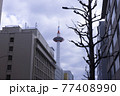 京都タワー 77408990