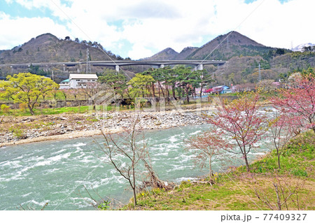【群馬県利根郡】春の水上 諏訪峡遊歩道 【群馬県利根郡】春の水上 諏訪峡遊歩道 77409327