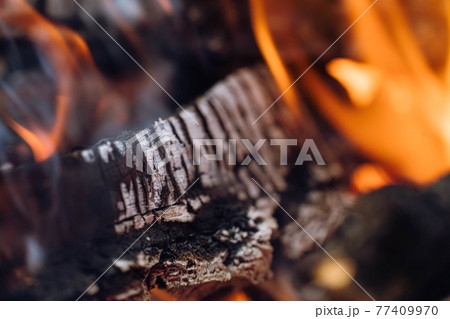 Firewood in flame close-up stock photography. 77409970