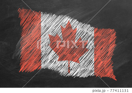 National Flag of Canada. Chalk drawn illustration. 77411131