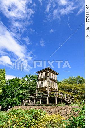 （埼玉県）晴れた夏空と西城沼公園の展望台 77411140