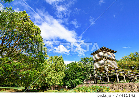 （埼玉県）夏空と公園の展望台 77411142