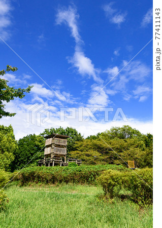 （埼玉県）夏空と公園の展望台 77411143