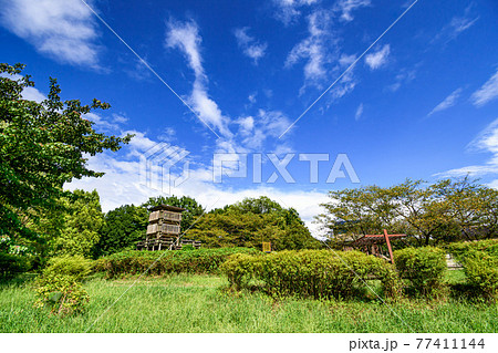 （埼玉県）夏の空と西城沼公園の展望台 77411144