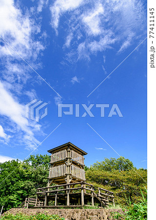 （埼玉県）夏の空と西城沼公園の展望台 77411145