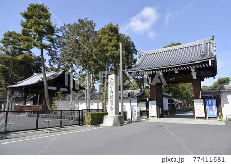 相国寺　総門と勅使門　京都市 77411681