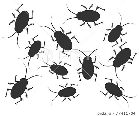 大量に居るゴキブリのイラスト 77411704