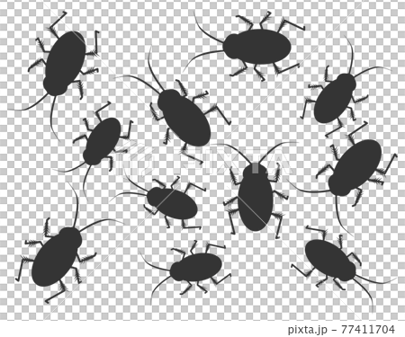 大量に居るゴキブリのイラスト 77411704