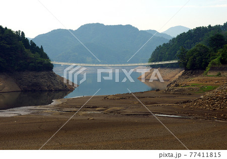 皿ヶ嶺連峰県立自然公園の面河ダム湖 77411815