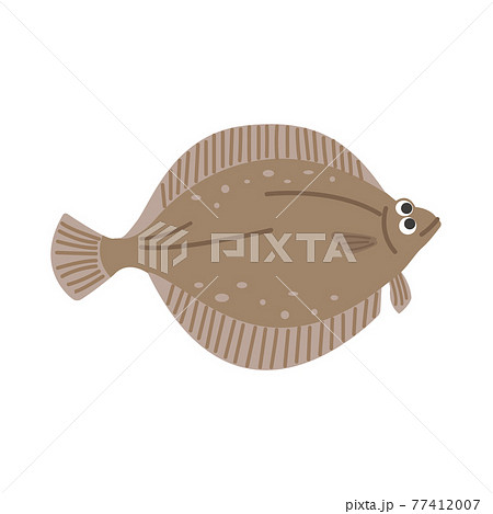 カレイのイラストのイラスト素材