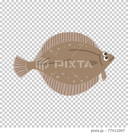 カレイのイラストのイラスト素材