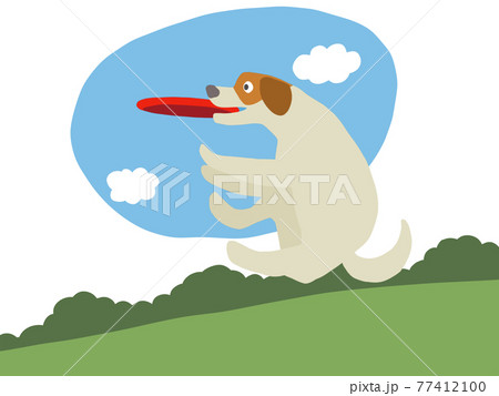 犬　フリスビー 77412100