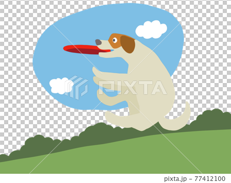 犬　フリスビー 77412100