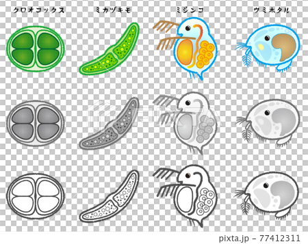 プランクトンのイラスト素材セット プランクトンのイラスト素材セット 77412311
