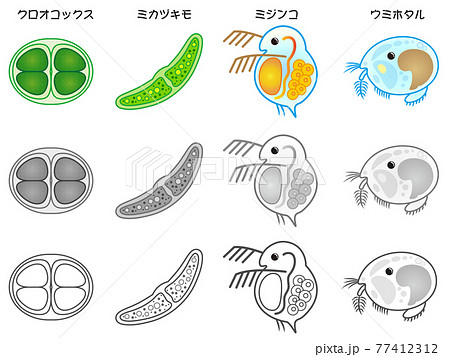 プランクトンのイラスト素材セット2のイラスト素材