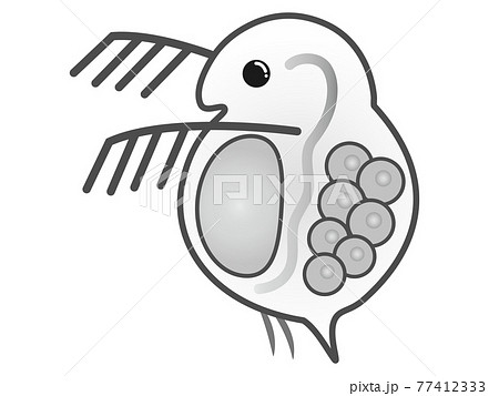 かわいいミジンコのイラスト素材2のイラスト素材