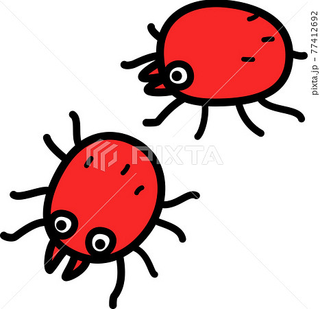 アカダニ、アカムシ アカダニ、アカムシ 77412692