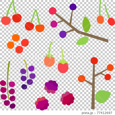 赤や紫の木の実のイラストセット 赤や紫の木の実のイラストセット 77412697
