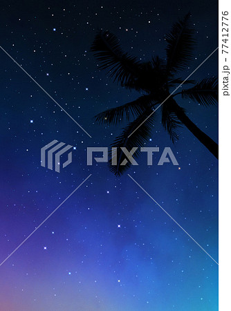 ヤシの木と星空 夏の夜空を見上げる風景のイラスト素材