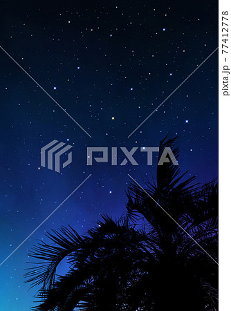 ヤシの木と星空 遥かな夏の夜空のイラスト素材