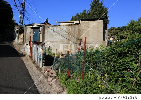 野菜 緑 緑色 77412928