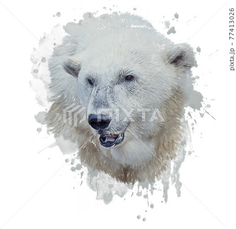 Digital Painting of Polar Bear 77413026