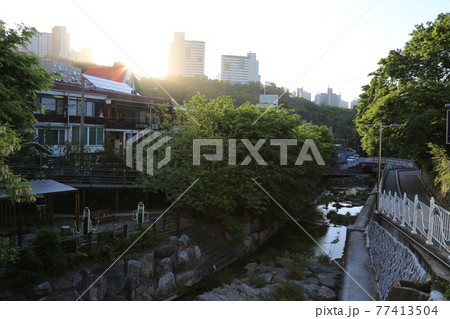 男 男性 男の子 77413504