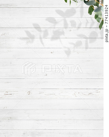 白い木製の壁とユーカリの葉で構成された背景 - 複数のバリエーションがあります 77413924