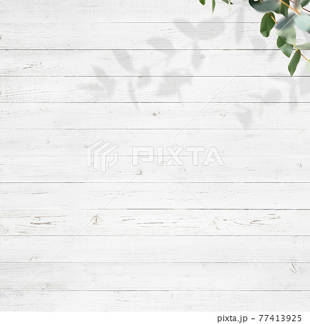 白い木製の壁とユーカリの葉で構成された背景 - 複数のバリエーションがあります 77413925