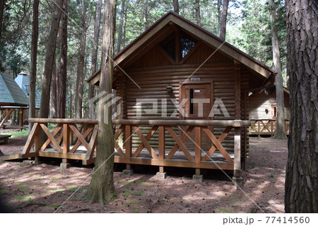 森林内のログハウス 77414560