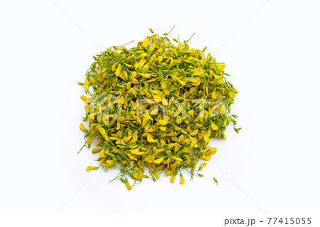 Sesbania flower isolated on white Sesbania flower isolated on white 77415055