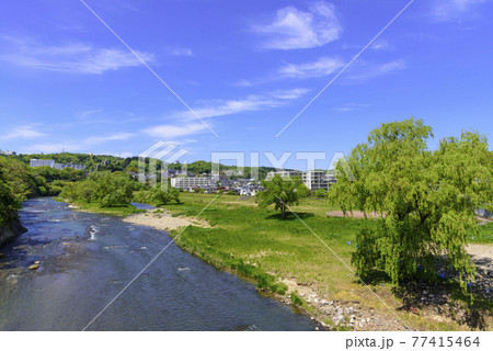 新緑の杜の都　仙台　広瀬川 77415464