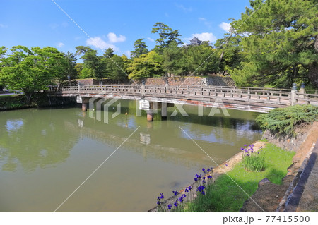 【島根県】快晴の宇賀橋と松江城天守閣 【島根県】快晴の宇賀橋と松江城天守閣 77415500