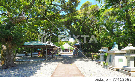 第24番札所　最御崎寺3 77415665
