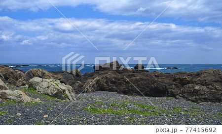 室戸岬海岸4 77415692
