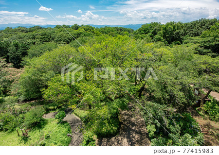 東京都西多摩郡瑞穂町の六道山公園と展望台 77415983