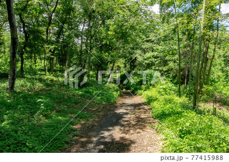 東京都西多摩郡瑞穂町の六道山公園と展望台 77415988