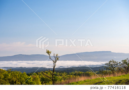 爽やかな初夏の朝雲海が浮かぶ阿蘇の草原の風景 77416118