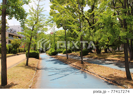 大野川緑陰道路/大阪府大阪市西淀川区姫島4丁目 77417274