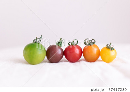 色とりどりカラフルミニトマト 5個 色とりどりカラフルミニトマト 5個 77417280