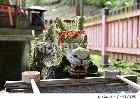 伏見稲荷大社 稲荷山 大杉社の手水鉢(龍口) 伏見稲荷大社 稲荷山 大杉社の手水鉢(龍口) 77417390