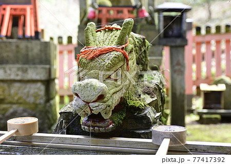 伏見稲荷大社　稲荷山　大杉社の手水鉢（龍口） 77417392