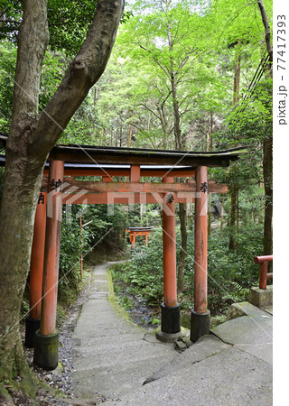 伏見稲荷大社　稲荷山　清瀧大神（清滝） 77417393