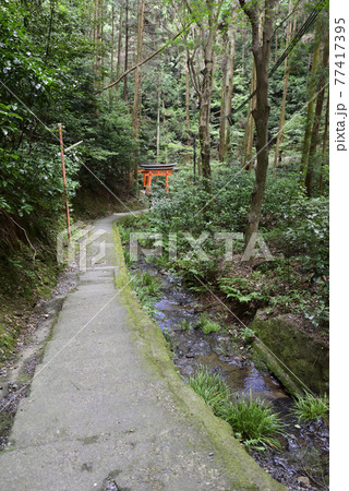 伏見稲荷大社　稲荷山　清瀧大神（清滝） 77417395