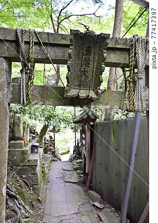 伏見稲荷大社 稲荷山 清瀧大神(清滝) 伏見稲荷大社 稲荷山 清瀧大神(清滝) 77417397