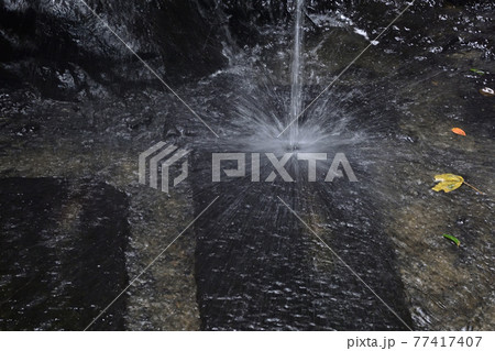 伏見稲荷大社　稲荷山　清瀧大神（清滝） 77417407