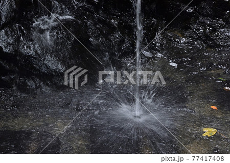 伏見稲荷大社　稲荷山　清瀧大神（清滝） 77417408