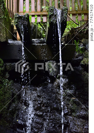 伏見稲荷大社 稲荷山 清瀧大神(清滝) 伏見稲荷大社 稲荷山 清瀧大神(清滝) 77417410